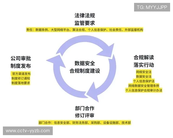 数据治理框架完善，合规风险防控能力迈上新台阶